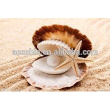 Top Quality Mother of Pearl Extract, 100% Natural Mother of Pearl Extract Powder
